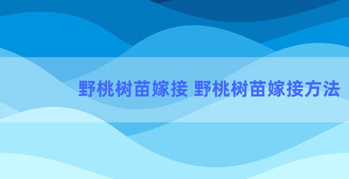 野桃树苗嫁接 野桃树苗嫁接方法